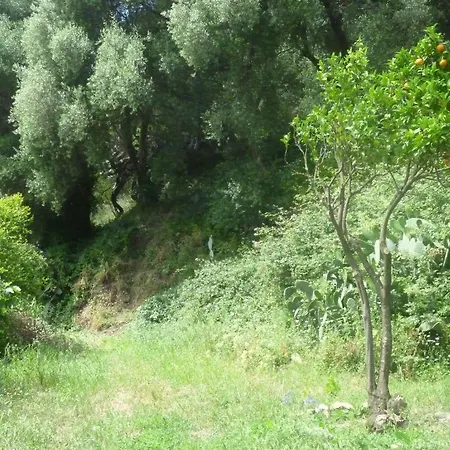 Camino Del Castillo Landsted